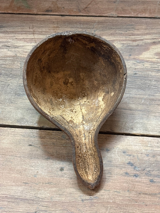 DECORATIVE GOURD SCOOP