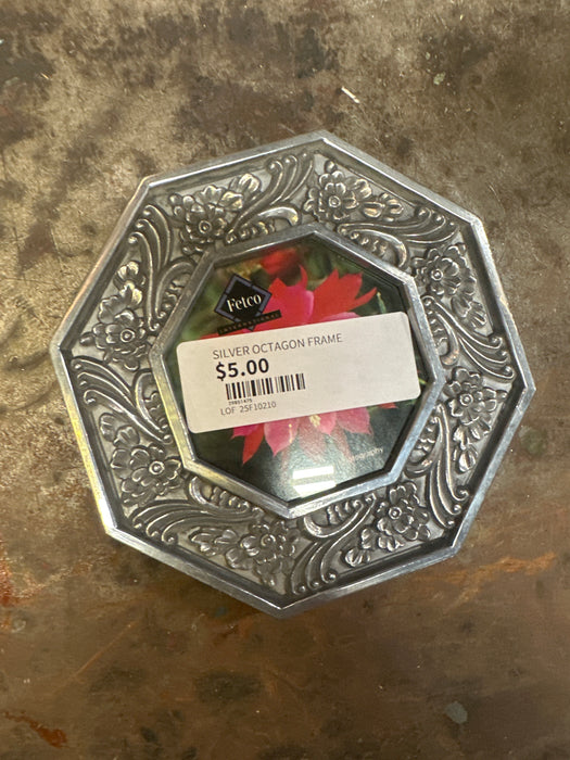 SILVER OCTAGON FRAME