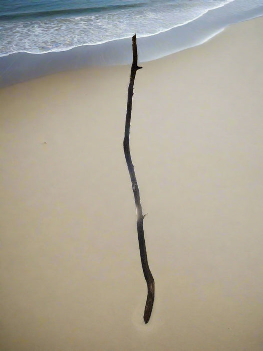 VERY TALL DRIFTWOOD BRANCH