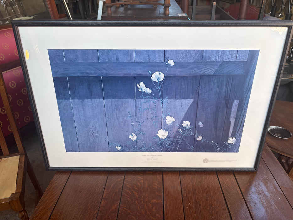 LARGE FRAMED PRINT OF WHITE COSMOS BY JOHN W. MCCOY
