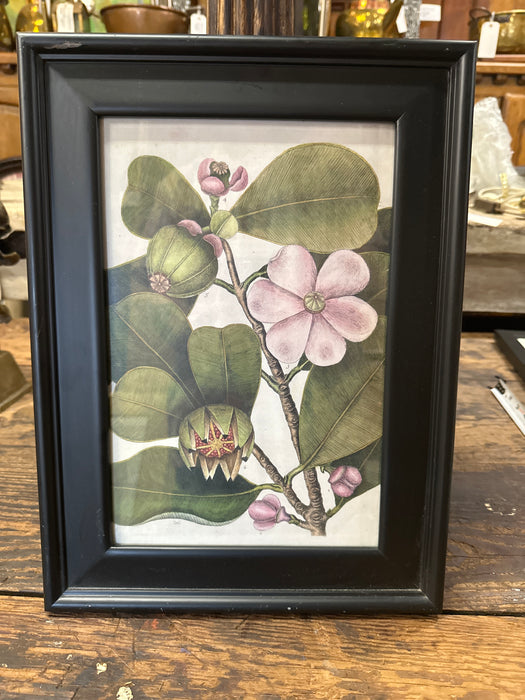 FRAMED FLOWER PRINT