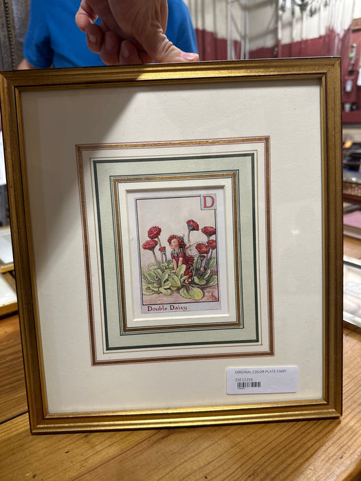 ORIGINAL COLOR PLATE FAIRY