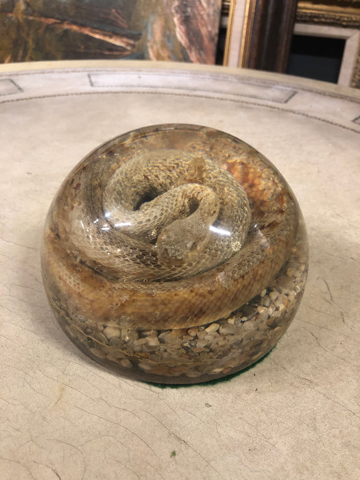 SNAKE PAPERWEIGHT