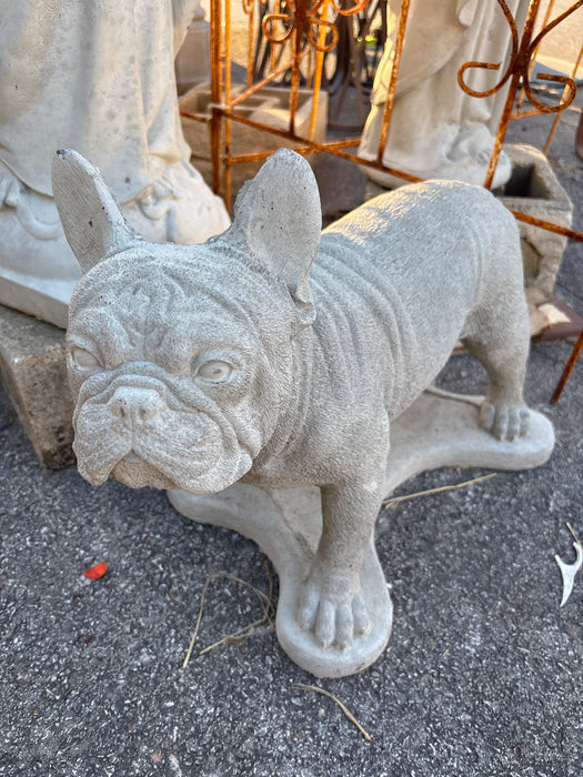 CONCRETE FRENCH BULLDOG