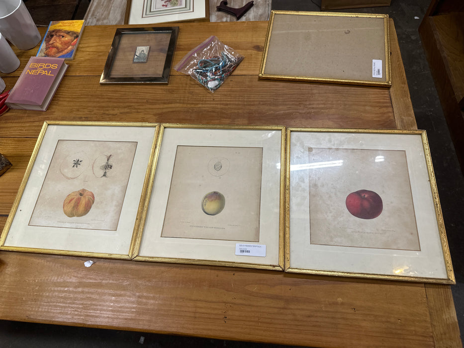 GOLD FRAMED FRUIT TRYPTICH