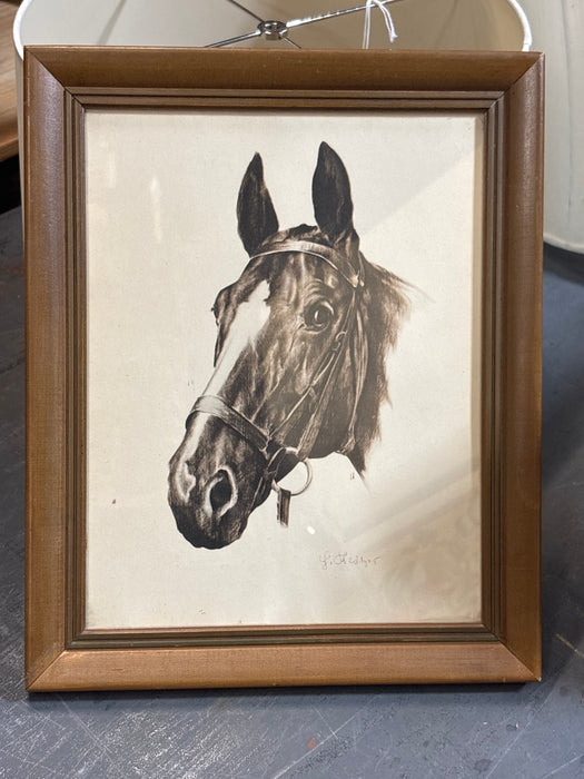 SIMPLE BROWN FRAMED HORSE HEAD PRINT - SIGNED - AS FOUND