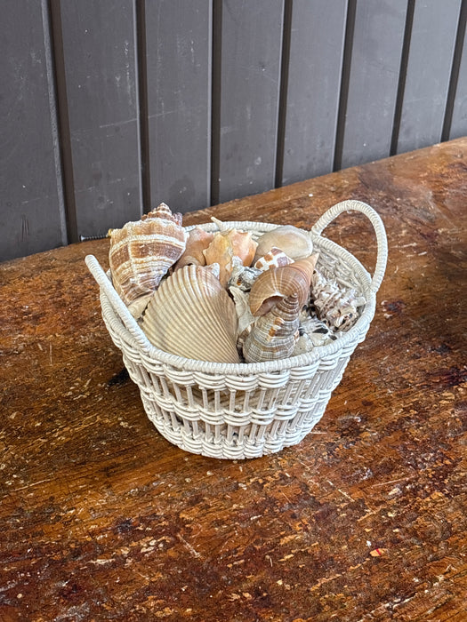 BIG LOT OF SEASHELLS IN WHITE BASKET