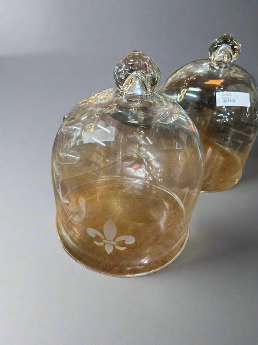 GLASS  DOME WITH HANDLE
