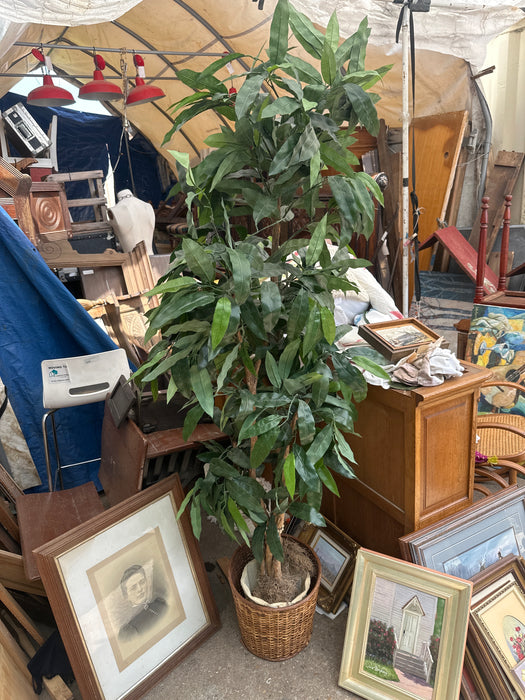 FAUX FICUS TREE