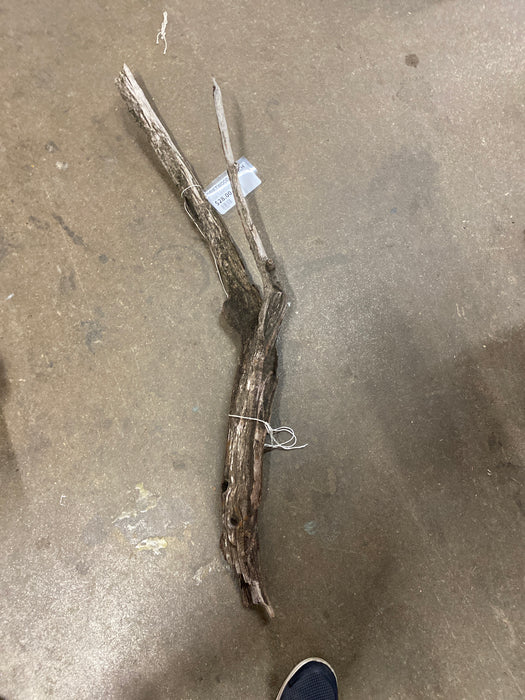 DRIFTWOOD BRANCH