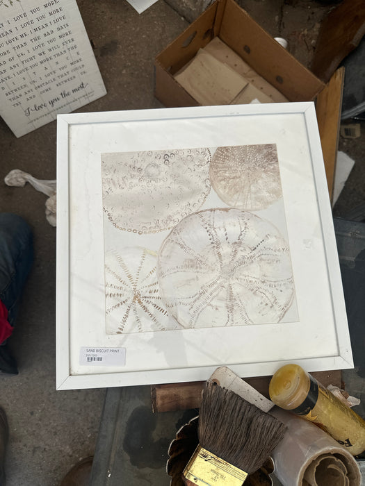 SAND BISCUIT PRINT