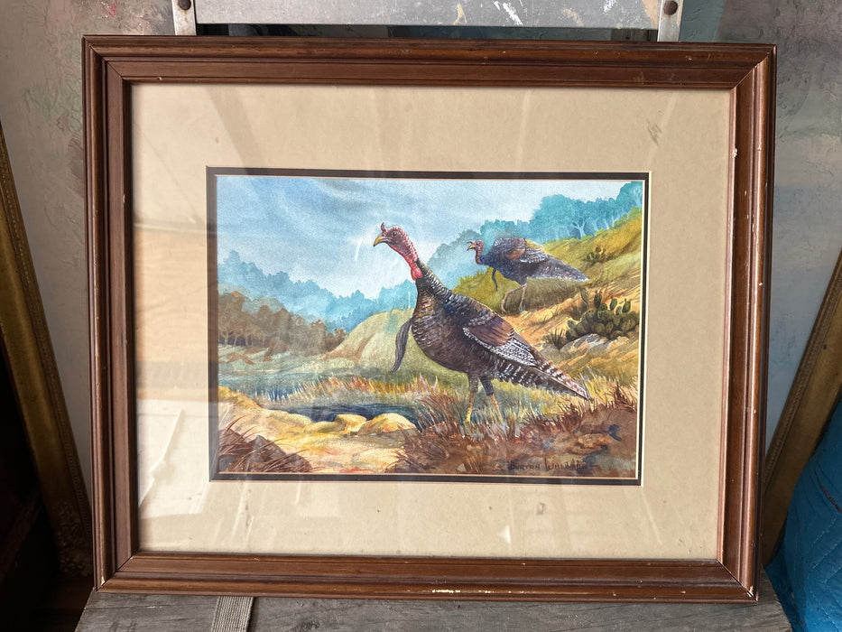 FRAMED WATER COLOR "HILL COUNTRY GOBLER" BY DR. BARTON WILLIAMS