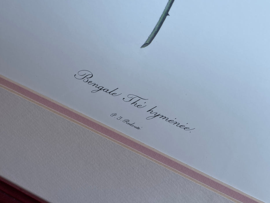 FRAMED BOTANICAL OF MAGNOLIA AND BUTTERFLY