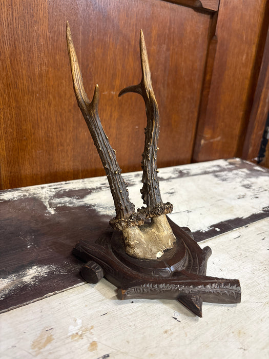 SMALL BLACK FOREST CARVED ROEBUCK ANTLERS WALL HANGING