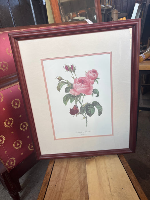 MAHOGANY FRAMED BOTANICAL PINK ROSE PRINT WITH BUTTERFLY