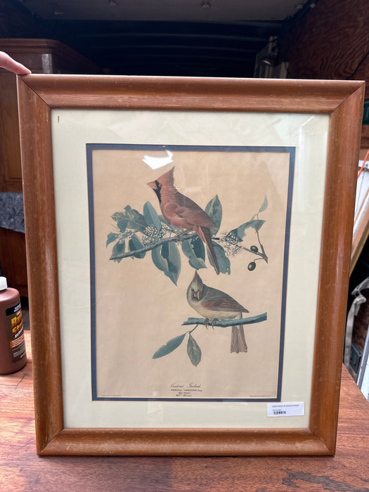 BIRD PRINT IN WOOD FRAME