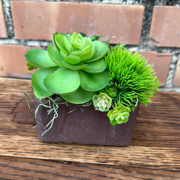 SUCCULENT FAUX PLANT