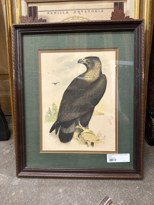 AUDUBON STYLE FRAMED BIRD PRINT