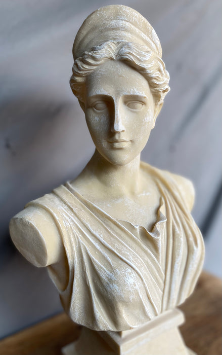 FEMALE BUST WITH HOLE IN ARM
