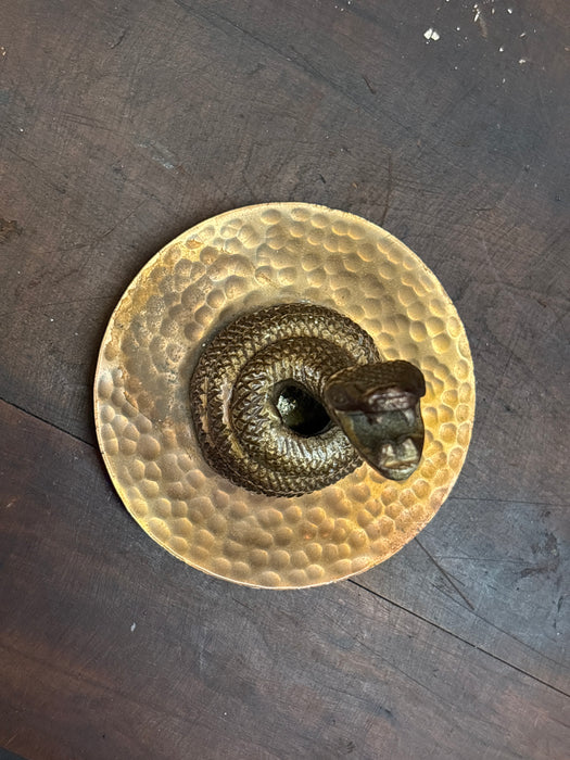 METAL COILED SNAKE