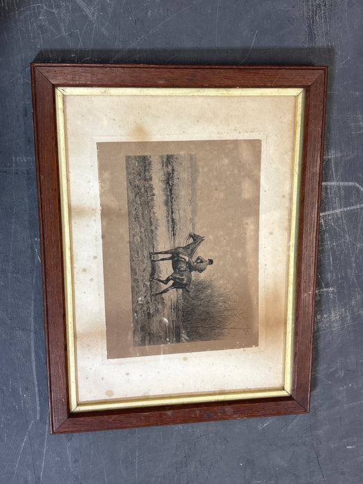 PAIR OF EQUESTRIENNE HORSE ENGRAVINGS