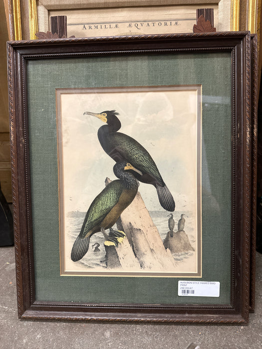 AUDUBON STYLE FRAMED BIRD PRINT