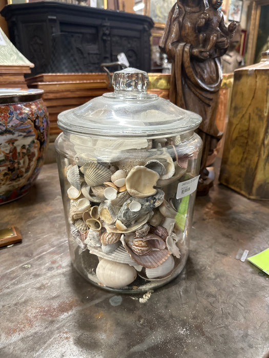 JAR FULL OF SHELLS