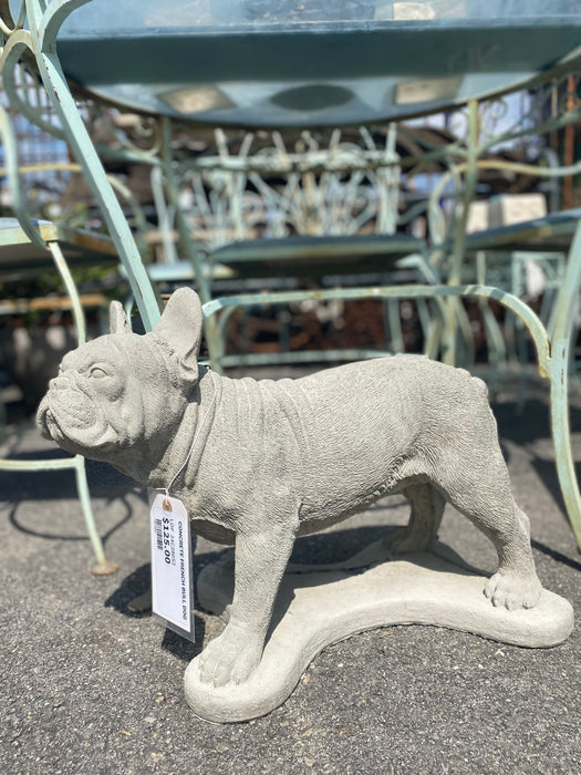 CONCRETE FRENCH BULL DOG