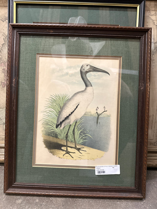 AUDUBON STYLE FRAMED BIRD PRINT