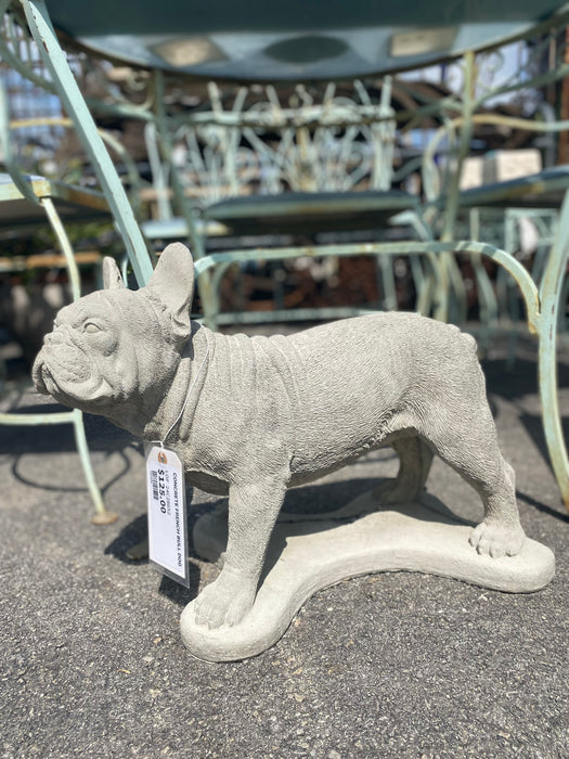 CONCRETE FRENCH BULL DOG