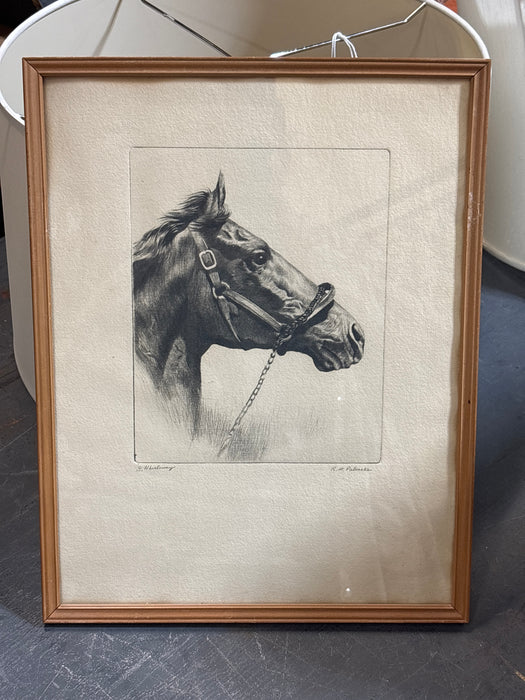 THIN FRAMED HORSE HEAD PRINT - SIGNED R.H. PALENSKE