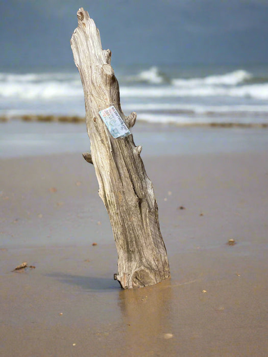BIG DRIFTWOOD POST