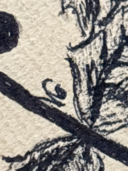 FLORAL DRAWING - SIGNED