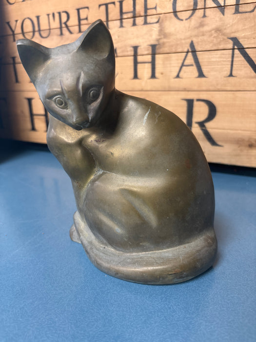 BRASS CAT