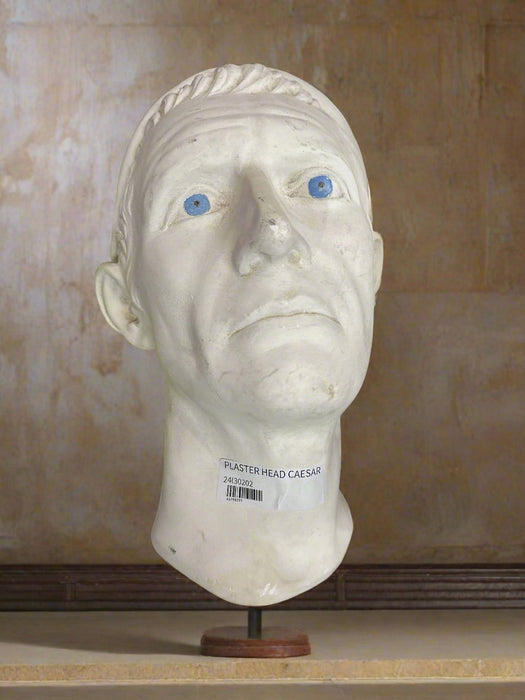 PLASTER HEAD CAESAR