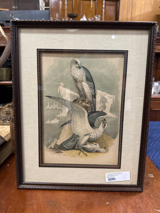 FRAMED  AUDOBON STYLE BIRD PRINT