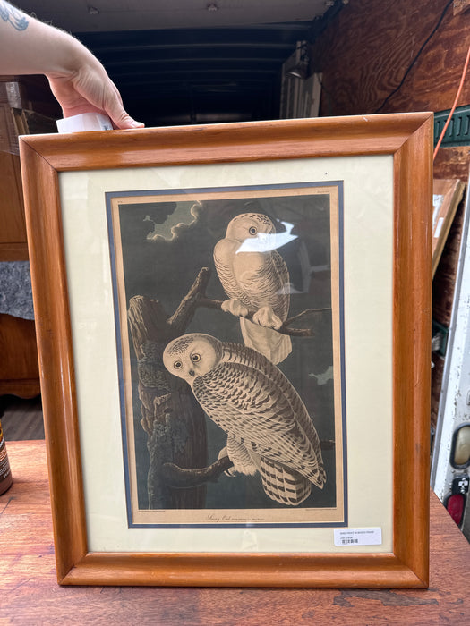 BIRD PRINT IN WOOD FRAME