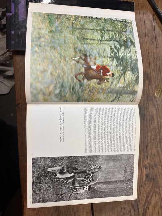 SPANISH EQUESTRIAN BOOK