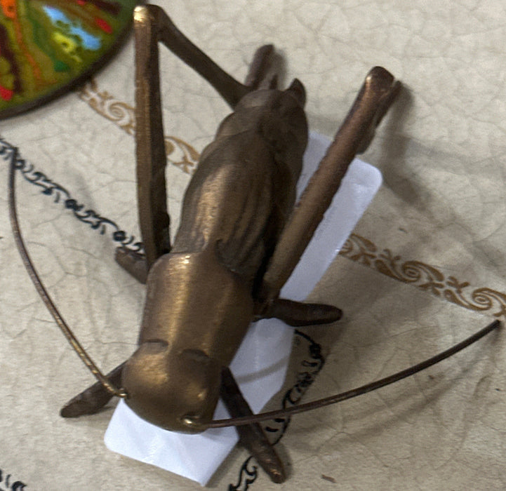 BRASS GRASSHOPPER