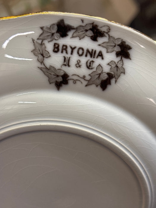 ENGLISH MULBURRY BRYONIA TRANSFERWARE BLACK FOLIATE LEAVES SALAD PLATE 1 OF 11