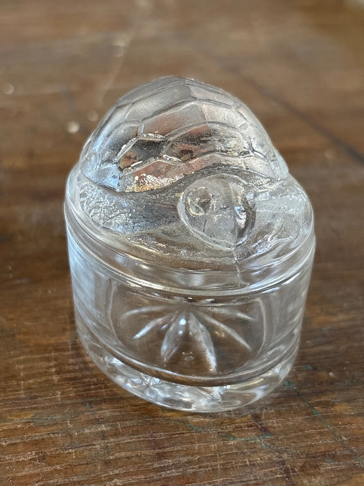 SMALL CLEAR TURTLE BOX