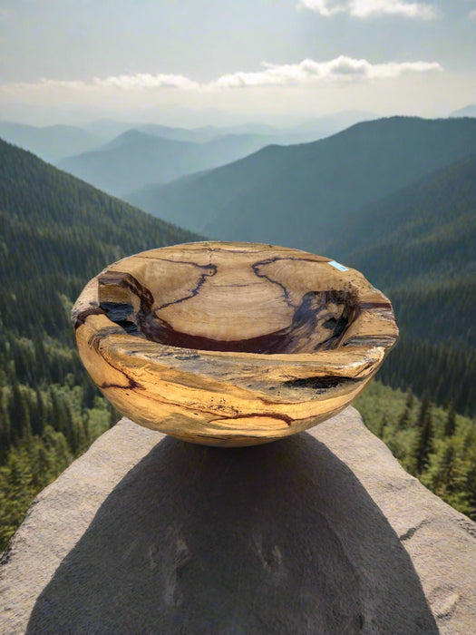 GIANT BURLED BOWL