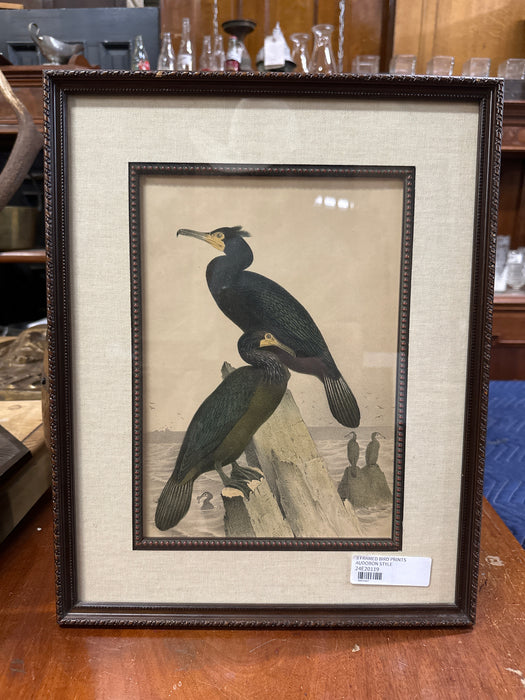 FRAMED  AUDOBON STYLE BIRD PRINT