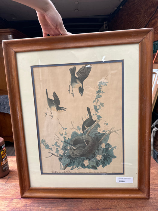 BIRD PRINT IN WOOD FRAME