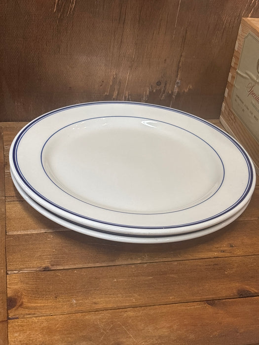 PAIR OF SIMPLE BLUE AND WHITE 1871 CHINESE HOMER LAUGHLIN CHARGERS