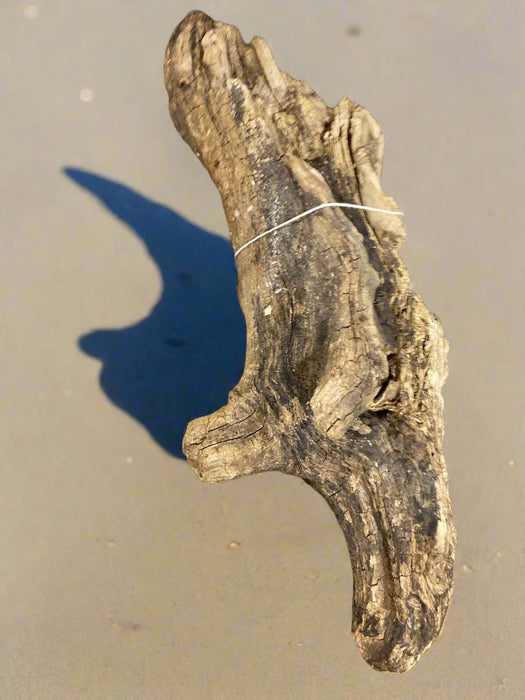 SWIRLY DRIFTWOOD PIECE