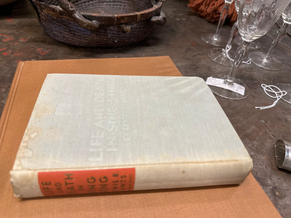 LIFE AND DEATH BOOK