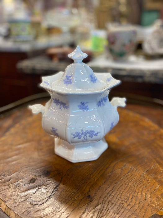 ADDERLEY LAVENDER BLUE AND WHITE CHELSEA THRISTLE SUGAR BOWL WITH LID