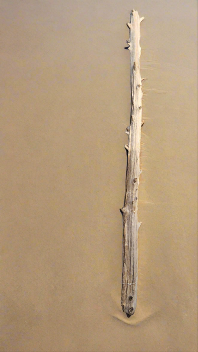 TALL DRIFTWOOD POST - EACH