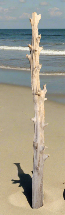 TALL DRIFTWOOD POST - EACH